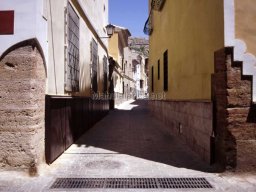 Mula Antigua serie-2